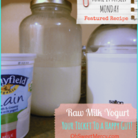 {Make it Myself Monday} Raw Milk Yogurt