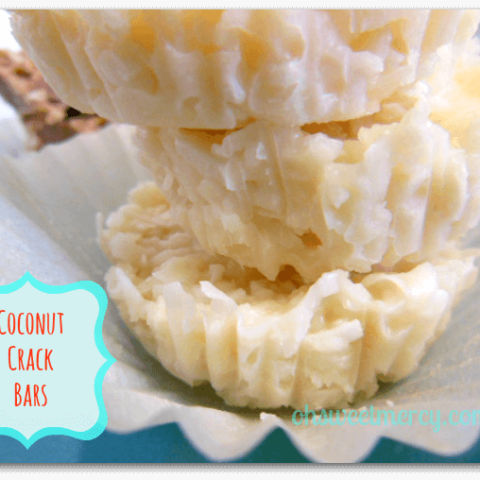 Coconut Oil Crack Bars (NOT THM)