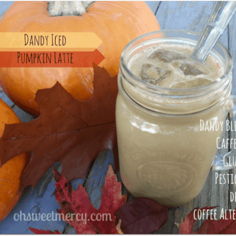 Dandy Iced Pumpkin Latte | THM FP or S