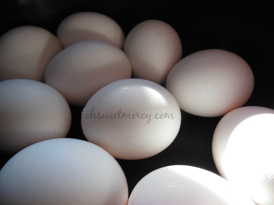 How to Hard Boil Eggs in a Crock Pot - The Foodie Affair