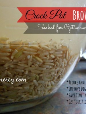 Crock Pot Soaked Brown Rice