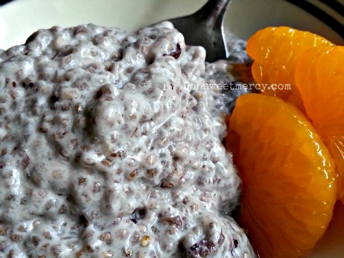 Chia Seed Pudding | Oh Sweet Mercy #healthy #chiaseed #recipes #thm #ohsweetmercy