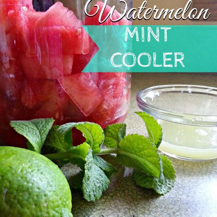 This 3 Ingredient Watermelon Mint Cooler is refreshing and contains no added sugar or sweeteners.