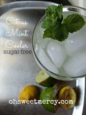 This Citrus Mint Cooler is a refreshing, sugar free way to stay hydrated on hot days.