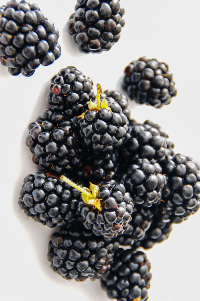 blackberries on white background