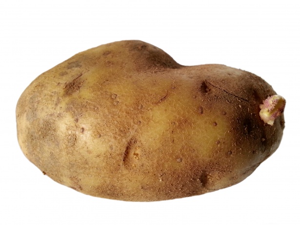 potato