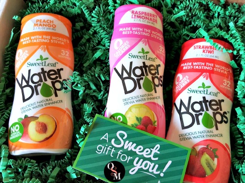 How to Make Your Own Protein Water with SweetLeaf WaterDrops | Oh Sweet Mercy #recipes #reviews #thm #sugarfree #diy #sweetleaf #waterdrops #ohsweetmercy