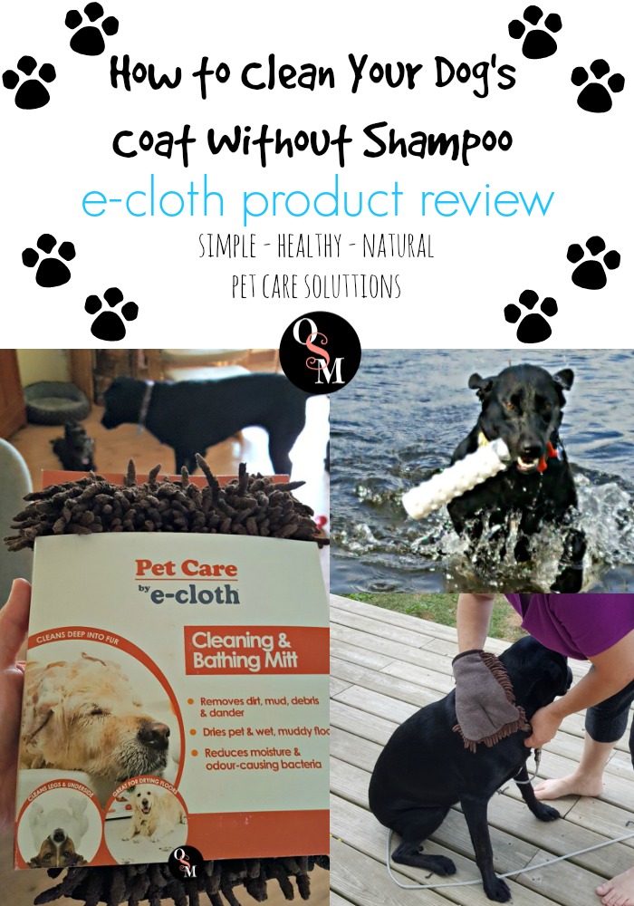 How to Clean Your Dog's Coat Without Shampoo - e-cloth Review | #reviews #naturalcleaning #ecloth #naturalliving