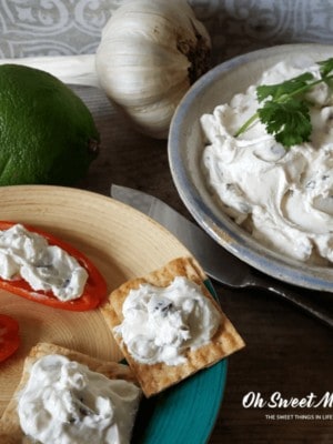 This Easy Homemade Yogurt Cheese with Garlic, Cilantro, and Lime is a low carb cracker's best friend. Also great on wraps and sandwiches as well as with veggies.