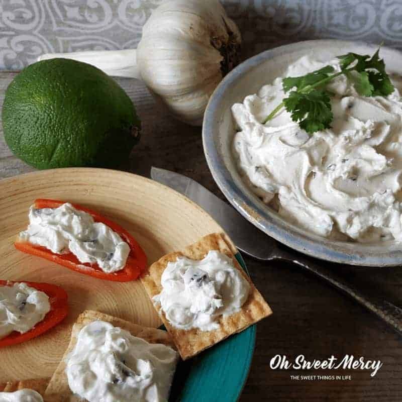 This Easy Homemade Yogurt Cheese with Garlic, Cilantro, and Lime is a low carb cracker's best friend. Also great on wraps and sandwiches as well as with veggies.