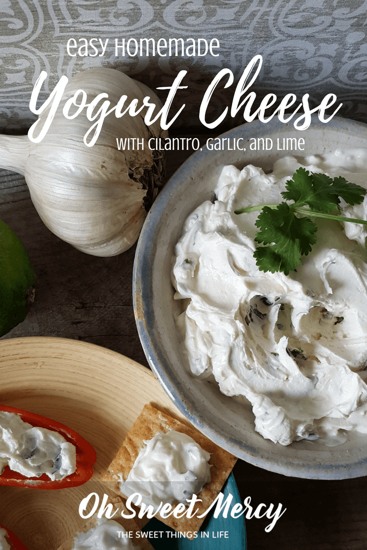 This Easy Homemade Yogurt Cheese with Garlic, Cilantro, and Lime is a low carb cracker's best friend. Also great on wraps and sandwiches as well as with veggies.