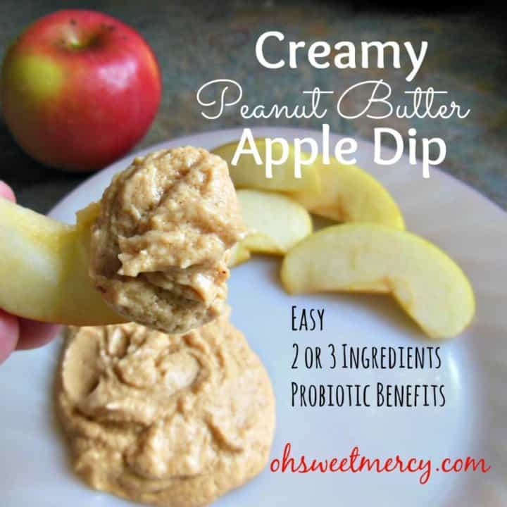 Creamy Peanut Butter Apple Dip (NOT THM)