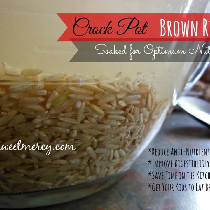 Crock Pot Soaked Brown Rice | THM E, Fat Free, Healthy Carbs