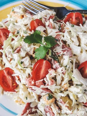 My Crazy Chicken Cabbage Salad is a quick and easy lunch or snack, perfect for low carb THM S meals! Get creative, get crazy, and make it your own! #thm #salads #lowcarb #easy #recipes