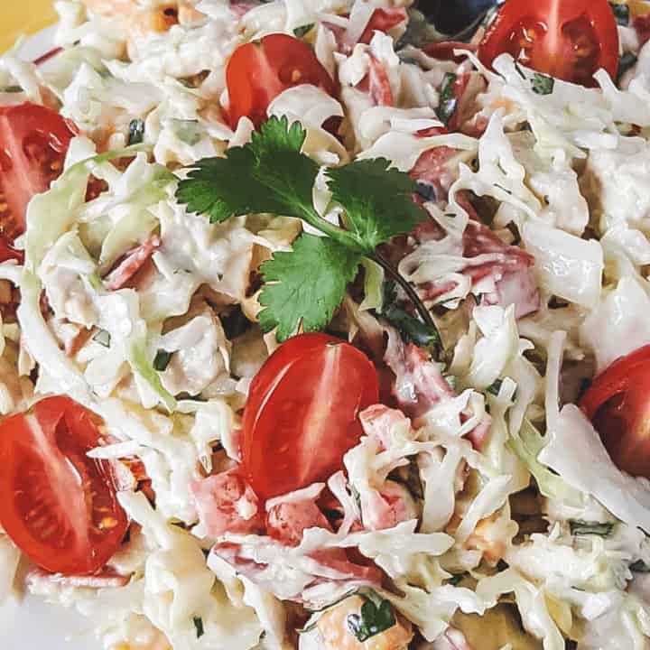 My Crazy Chicken Cabbage Salad is a quick and easy lunch or snack, perfect for low carb THM S meals! Get creative, get crazy, and make it your own! #thm #salads #lowcarb #easy #recipes