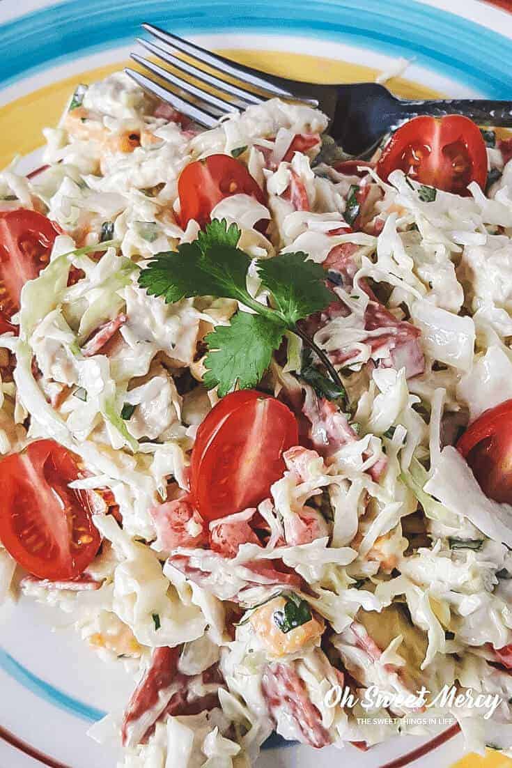 My Crazy Chicken Cabbage Salad is a quick and easy lunch or snack, perfect for low carb THM S meals! Get creative, get crazy, and make it your own! #thm #salads #lowcarb #easy #recipes
