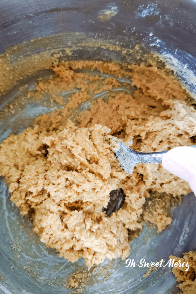 Mixing wet and dry ingredients for low carb no bake peanut butter cookies