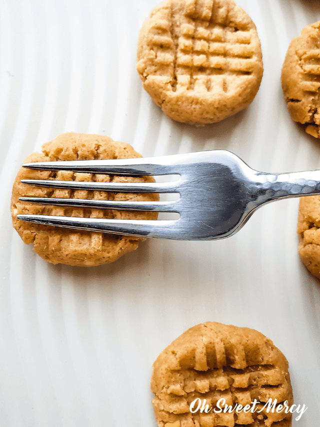 EASY NO BAKE PEANUT BUTTER COOKIES THM S, SUGAR FREE RECIPE Oh
