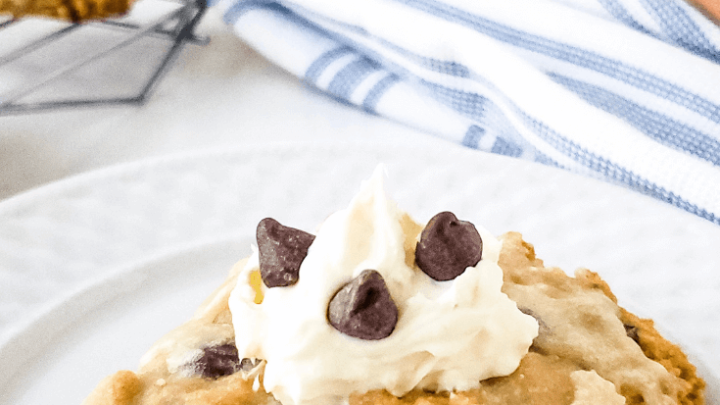Chocolate Chip Scone with Clotted Cream and Chocolate Chips