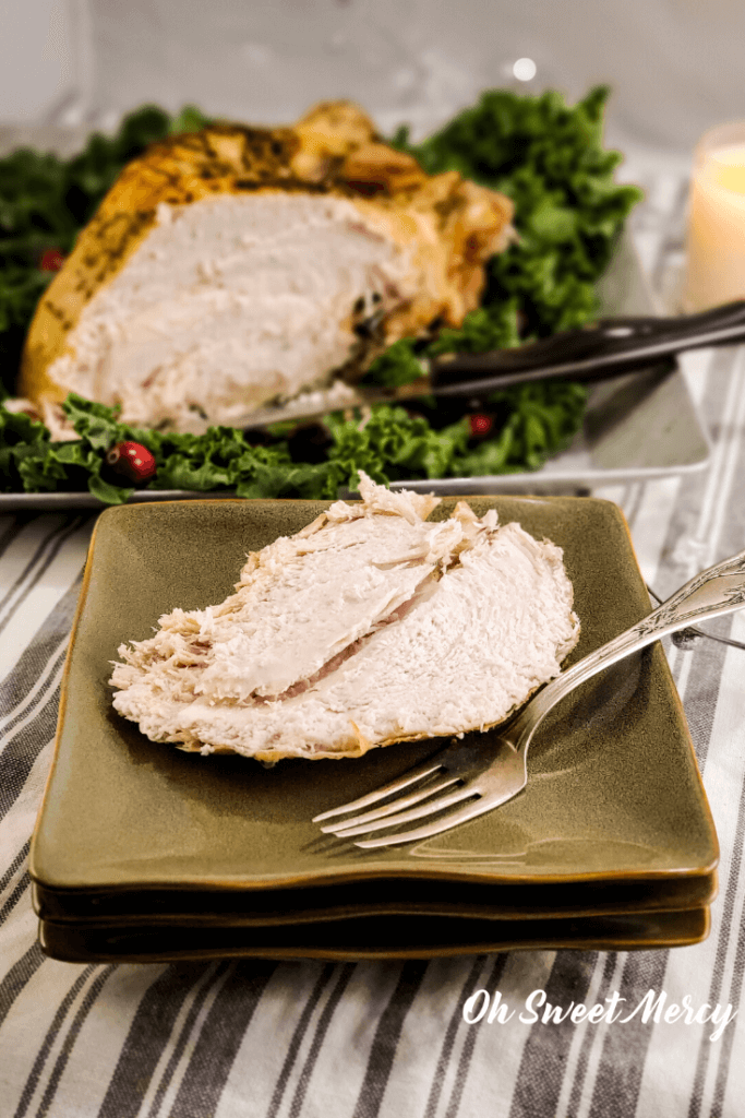 Slice of turkey breast on plate