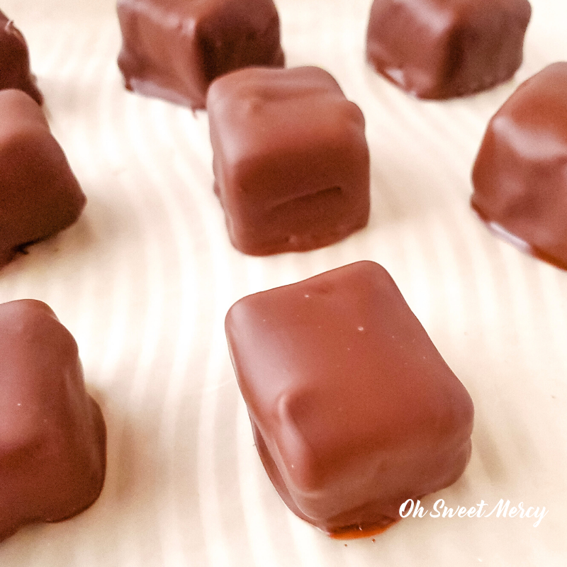 Chocolate Covered Cheesecake Bites