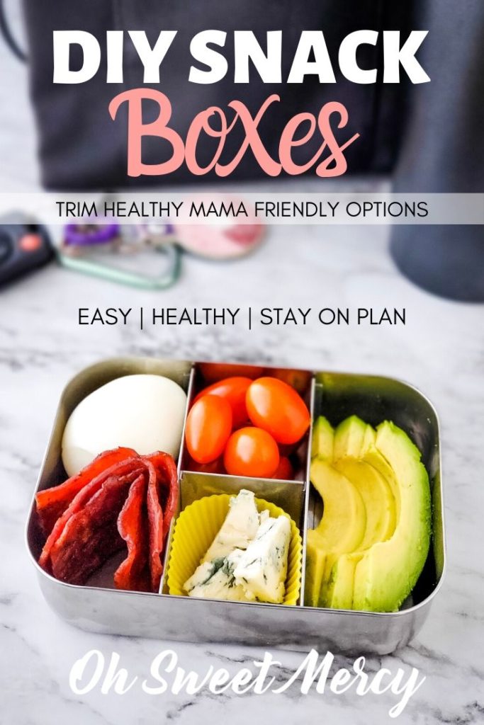 Easy Snack Box Ideas for the Trim Healthy Mama - Oh Sweet Mercy