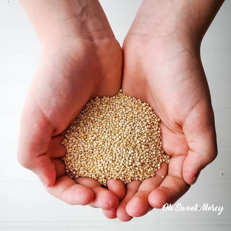 Hands full of uncooked quinoa