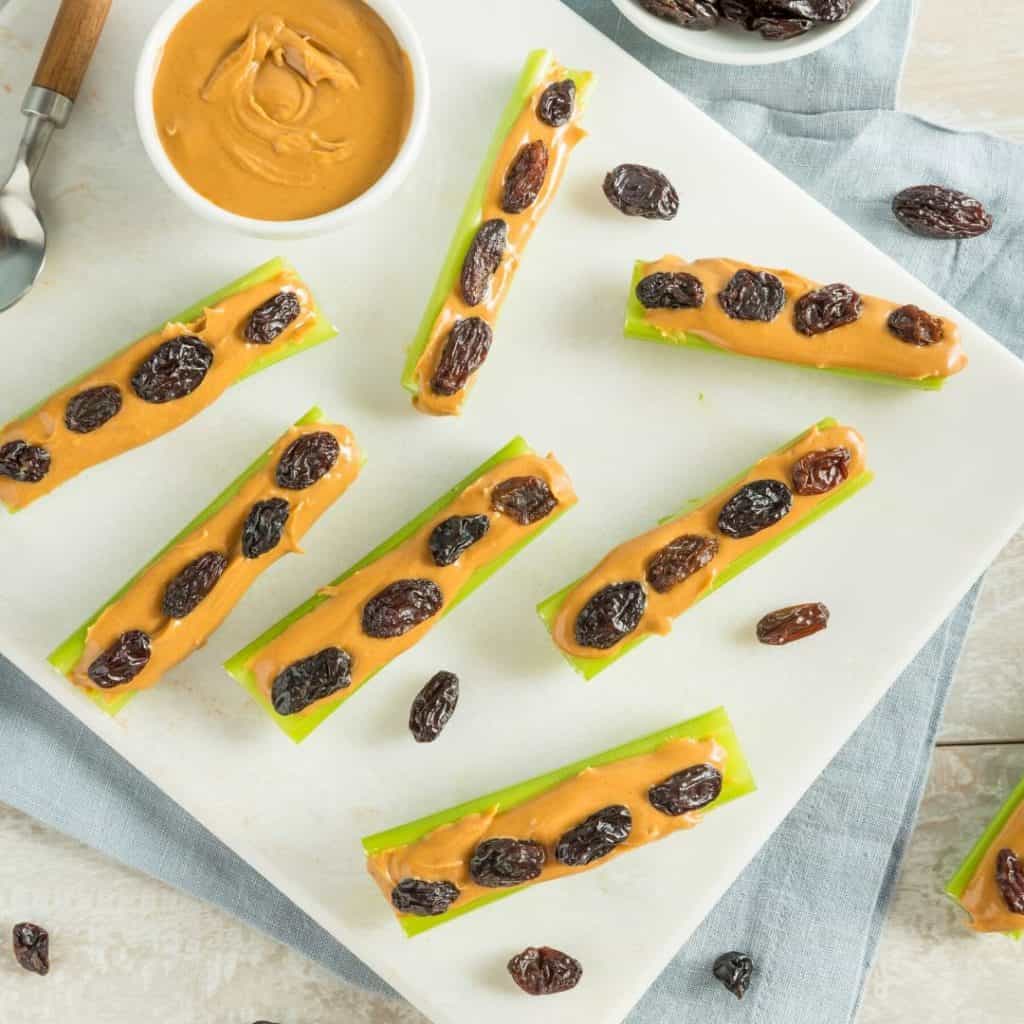 traditional ants on a log with raisins