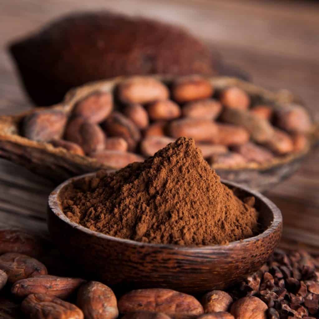 cacao powder 