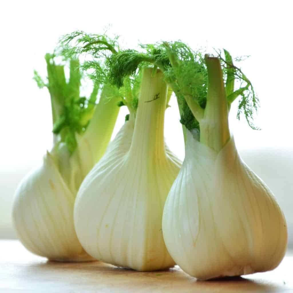 3 fennel bulbs