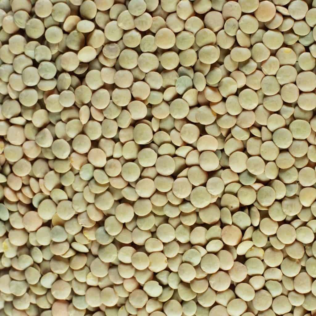 dry green lentils