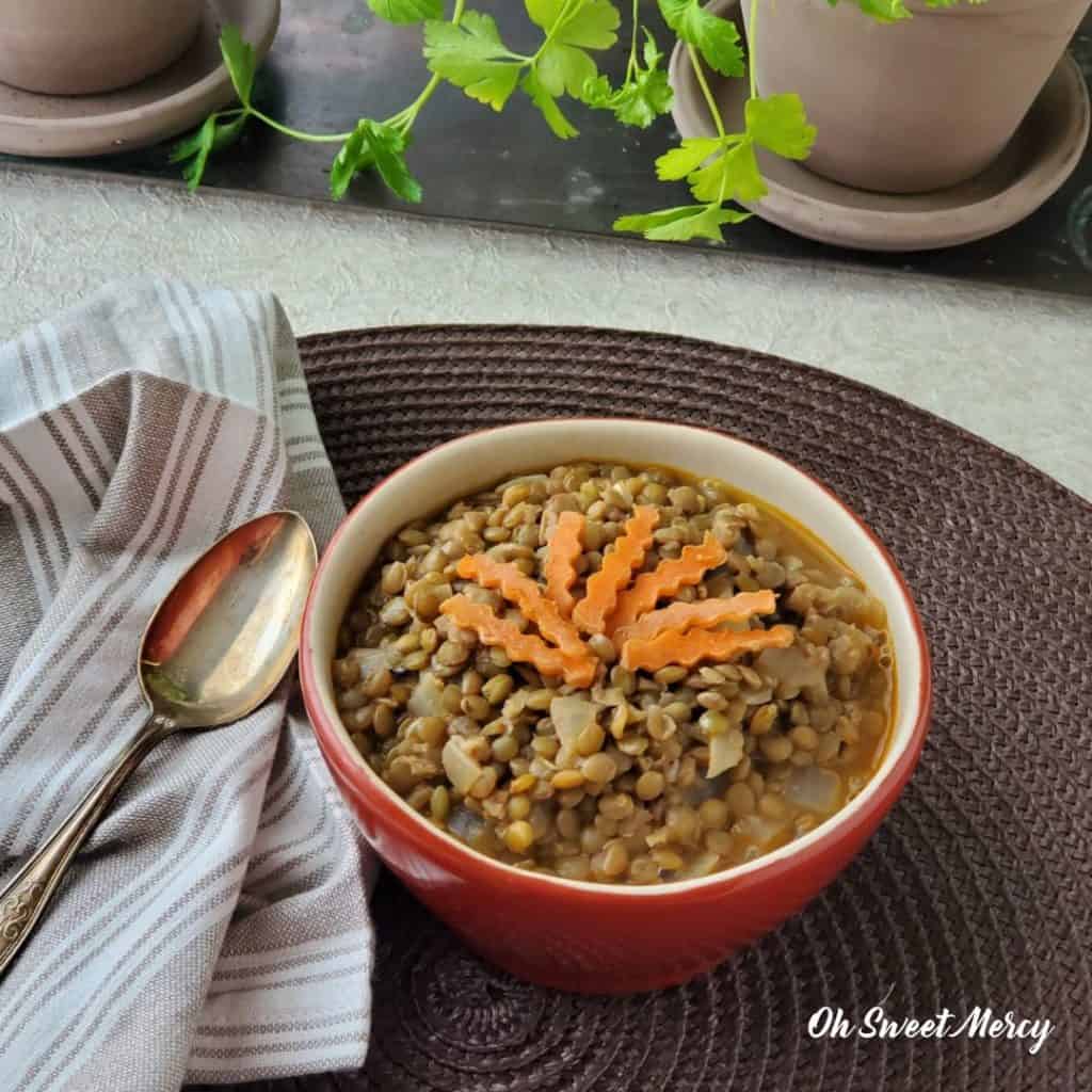 Bowl of simple seasoned lentils