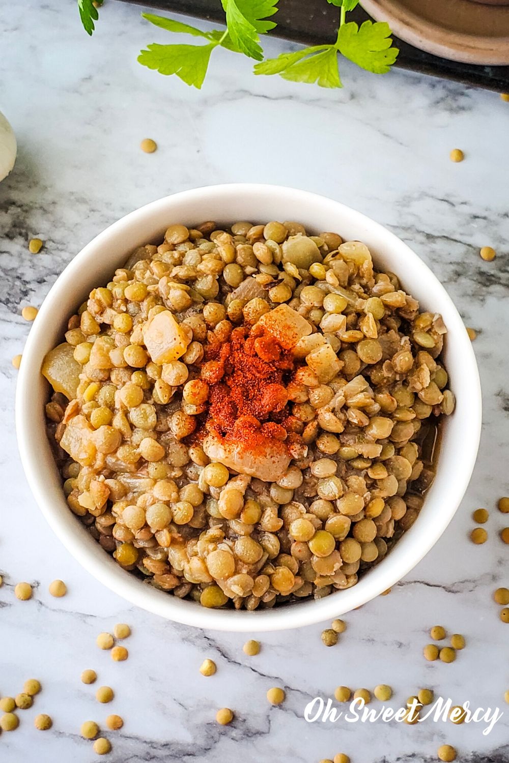 Bowl of simple seasoned lentils