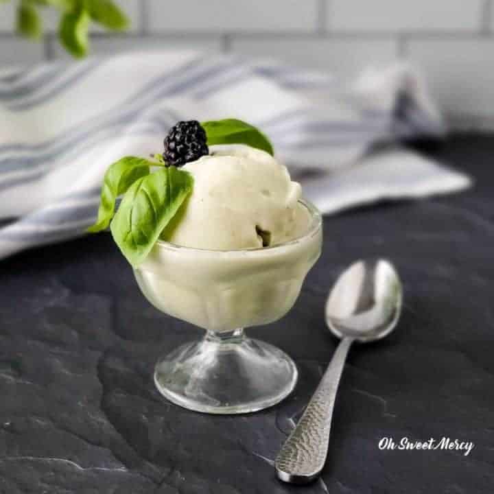 Coconut Basil Ice Cream | Low Carb, THM S - Oh Sweet Mercy