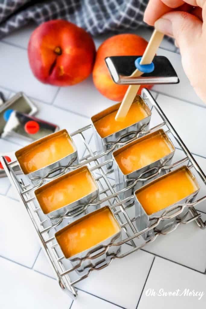 Filled stainless steel popsicle molds