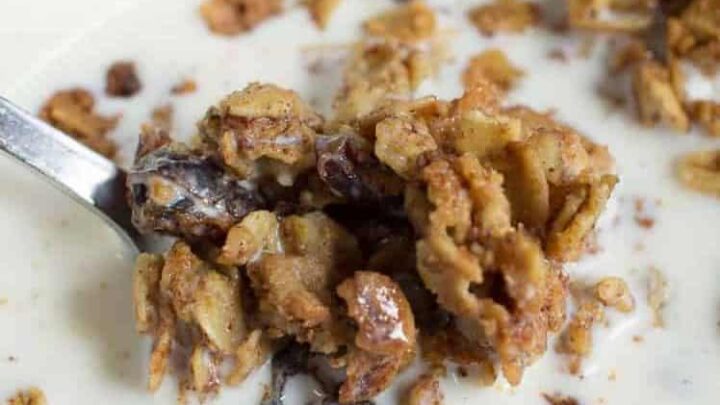 Image for Oatmeal Cranberry Cookie Granola - THM E Low Fat Gluten Free