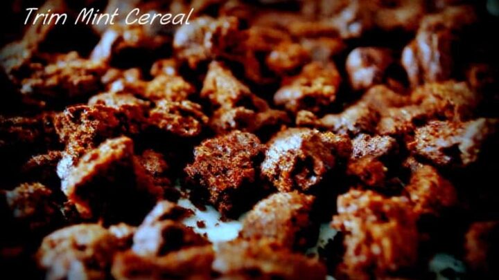 Image for Trim Mint Crispy Cereal {Low Carb, Sugar Free}