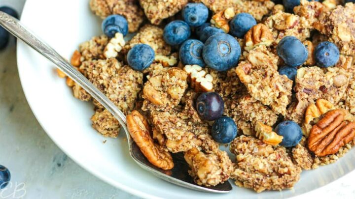 Image for Keto Paleo Low Carb Vegan Best Grain-free Granola Recipe