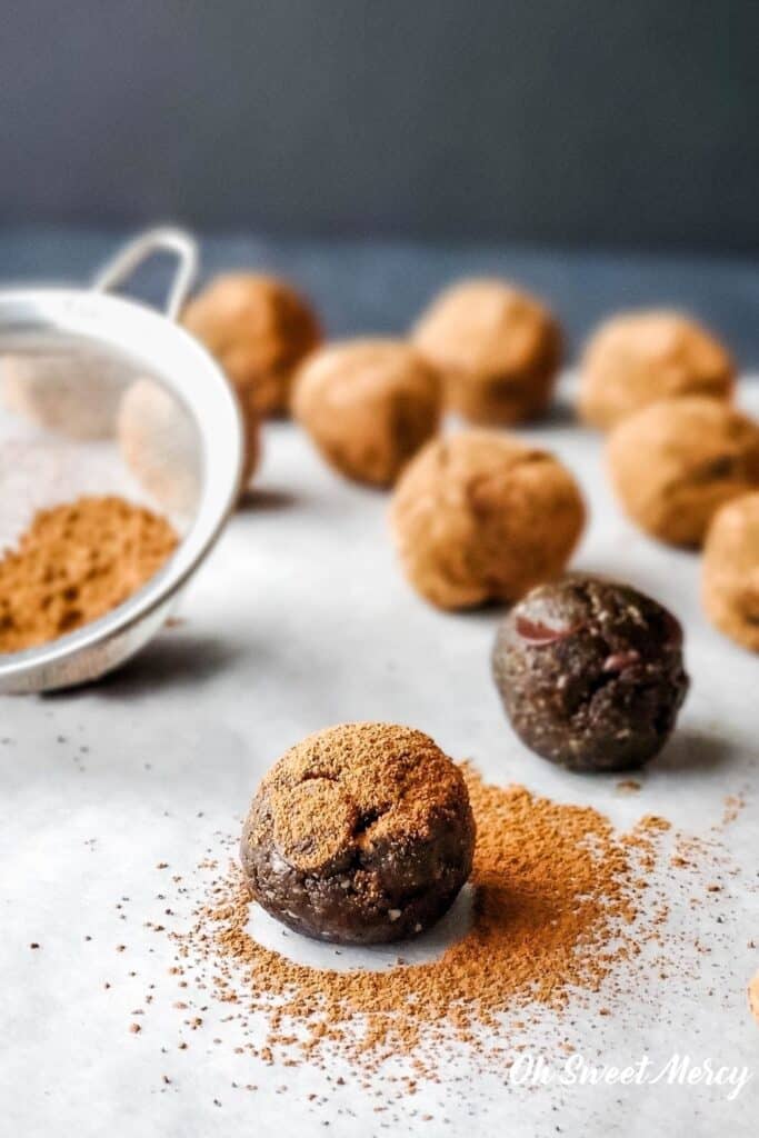 chocolate protein ball with cocoa powder sprinkled over it