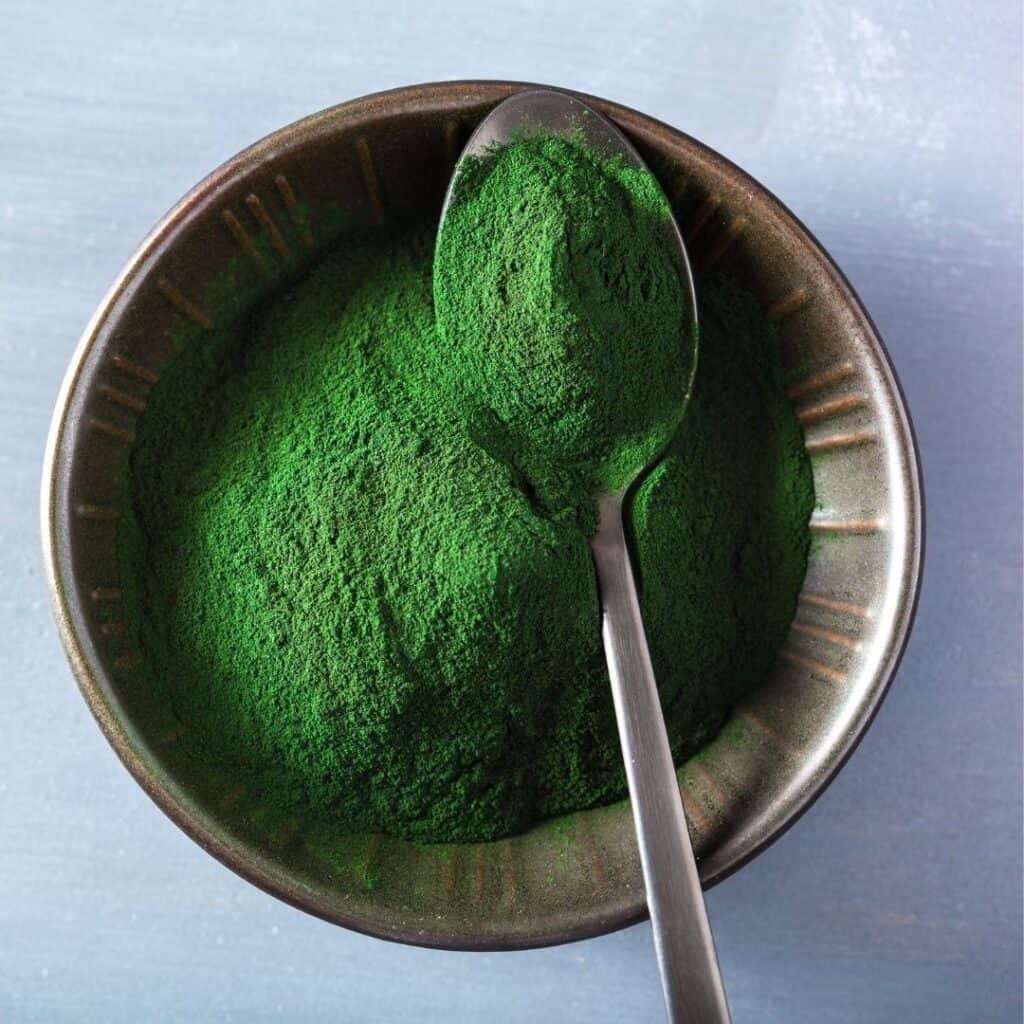 Bowl of spirulina powder