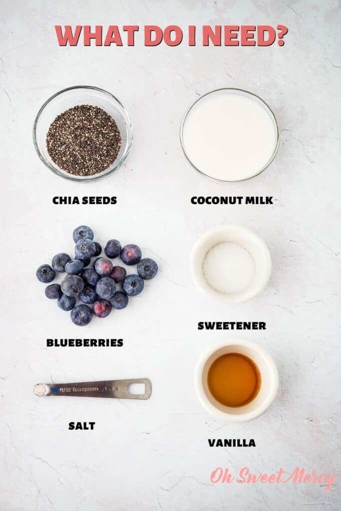 Coconut Blueberry Chia Pudding ingredients: chia seeds, coconut milk, sweetener, blueberries, vanilla, optional salt