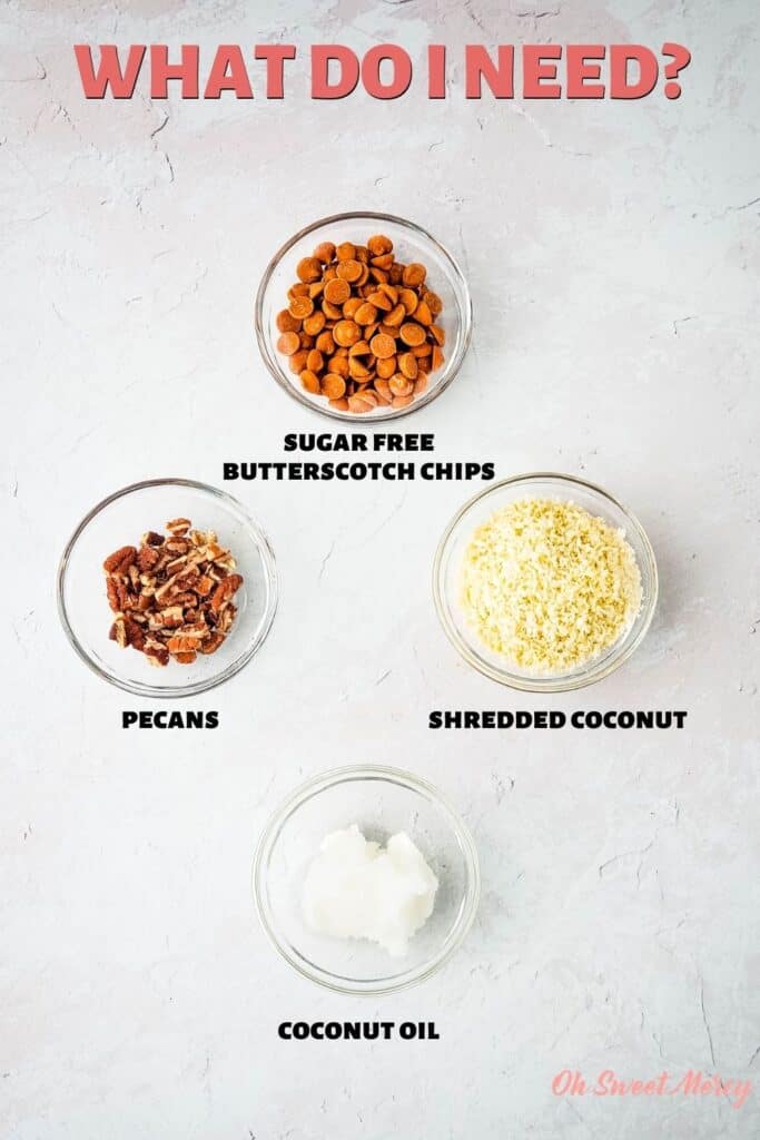 Ingredients for Easy Butterscotch No Bake Cookies: sugar free butterscotch baking chips, shredded coconut, coconut oil, chopped pecans or other nuts, optional