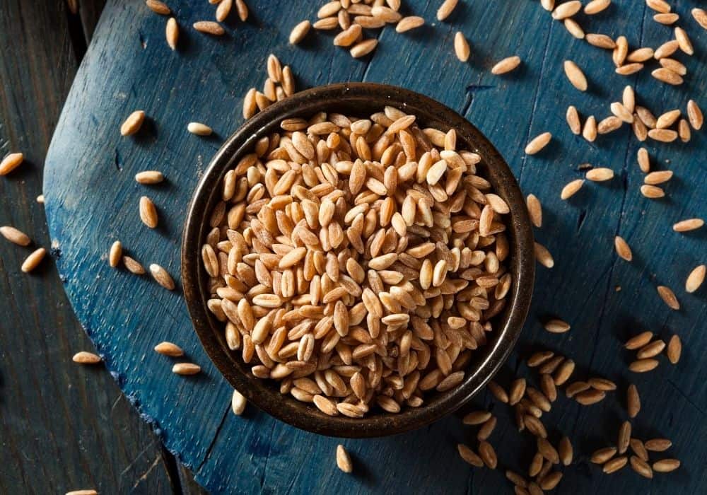 overhead shot of bowl of farro