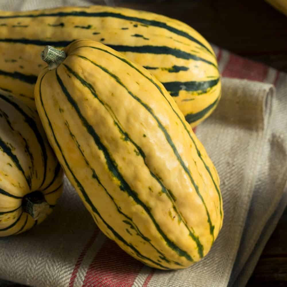 3 whole delicata squash on a towel