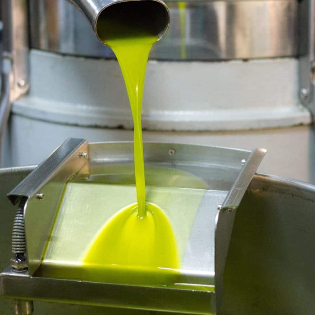 Freshly pressed olive juice flowing out of a press