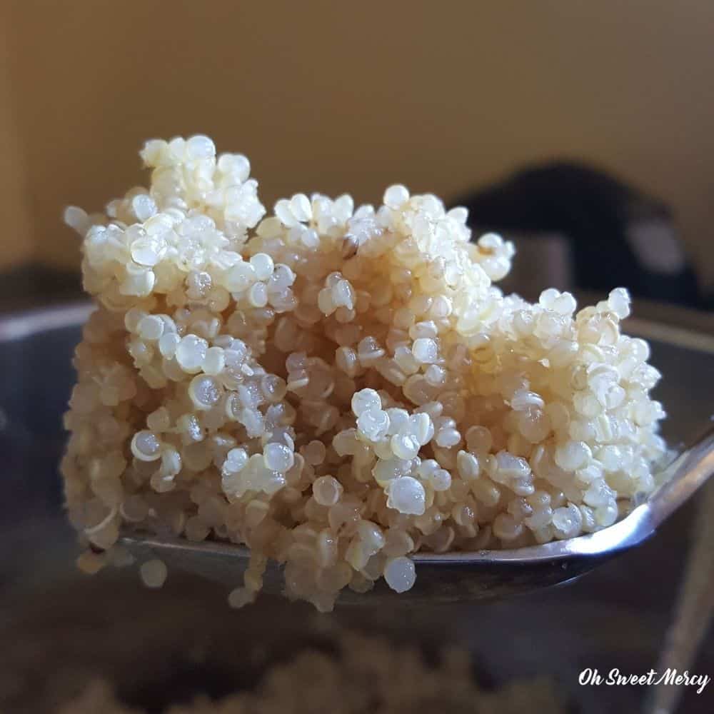 Spoonful of fluffy quinoa